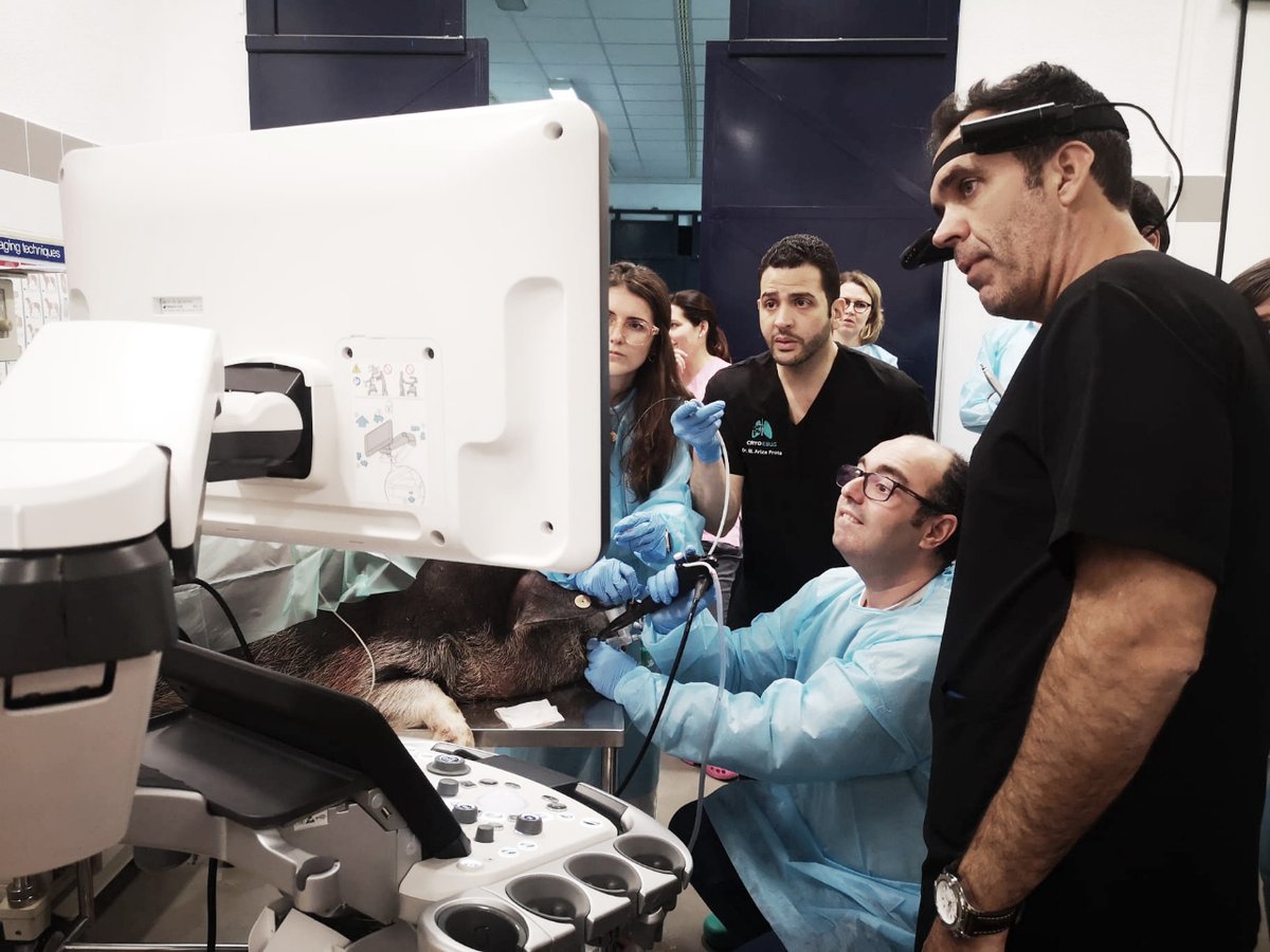 🏛️💬Hoy y mañana <a href="/AeerNeumologia/">AEER</a> organiza su XXVIII Congreso sobre Endoscopia Respiratoria y Neumología Intervencionista, con la participación de más de 250 especialistas nacionales e internacionales.
 
🔬 A través de 11 interesantes talleres y un programa científico...