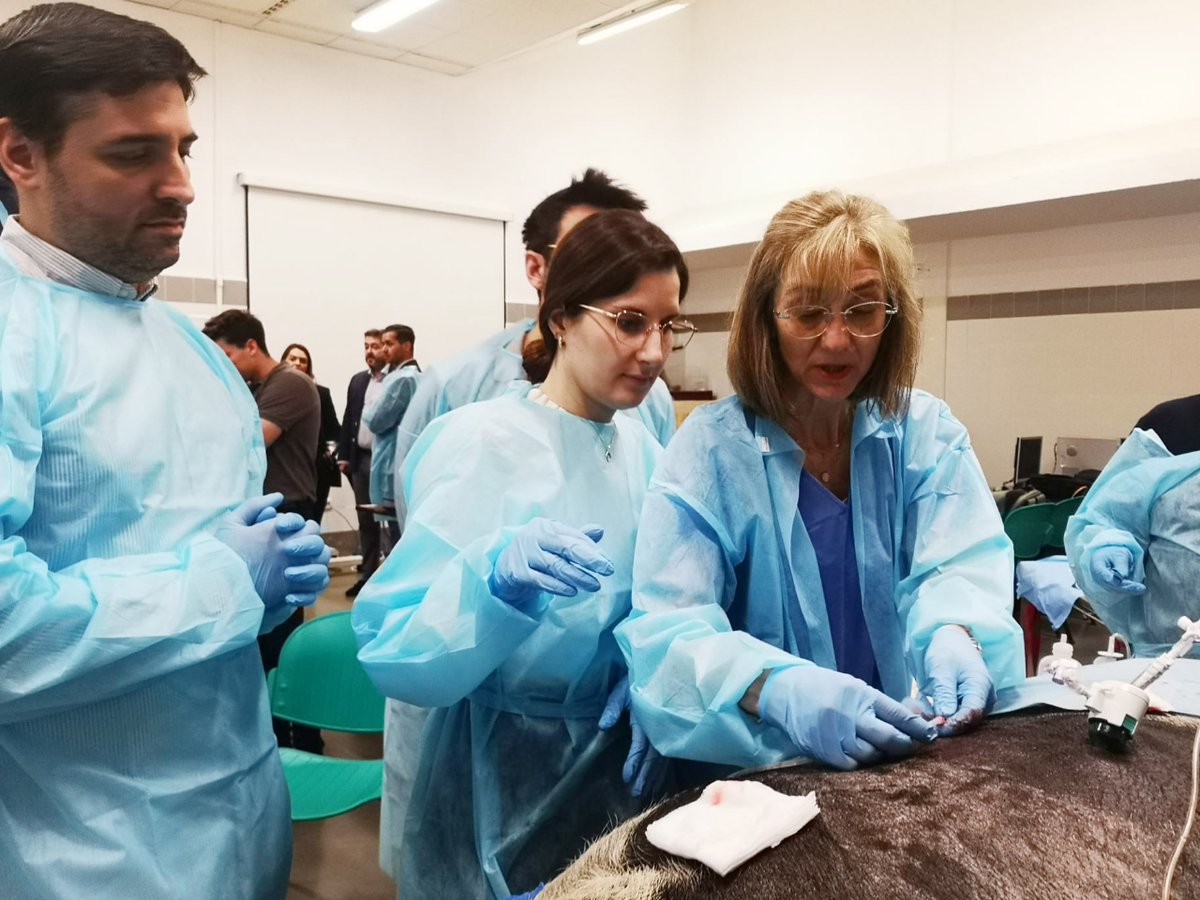 <a href="/AeerNeumologia/">AEER</a> ...de alto nivel, este encuentro científico abordará las novedades en el diagnóstico y tratamiento de enfermedades respiratorias y el uso de tecnologías innovadoras como la robótica, entre otras temáticas relacionadas. 

🏥El <a href="/HUReinaSofia/">Hospital Universitario Reina Sofía</a>, centro de alta complejidad...