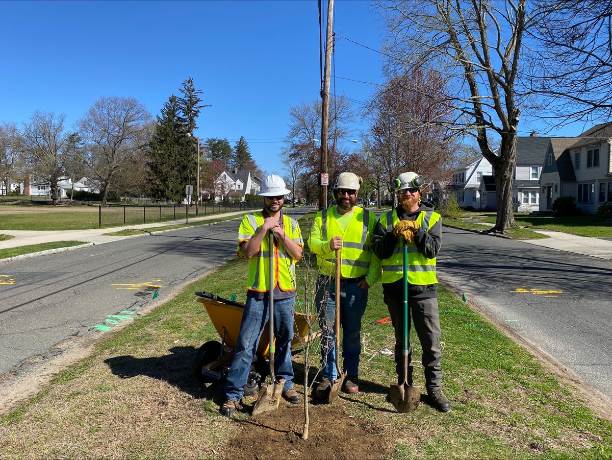 🌳🌲 Happy #ArborDay! Our arborists are celebrating their favorite holiday by planting trees to beautify our communities across the state, including here in Needham and Springfield. #VolunteerWeek #EarthWeek