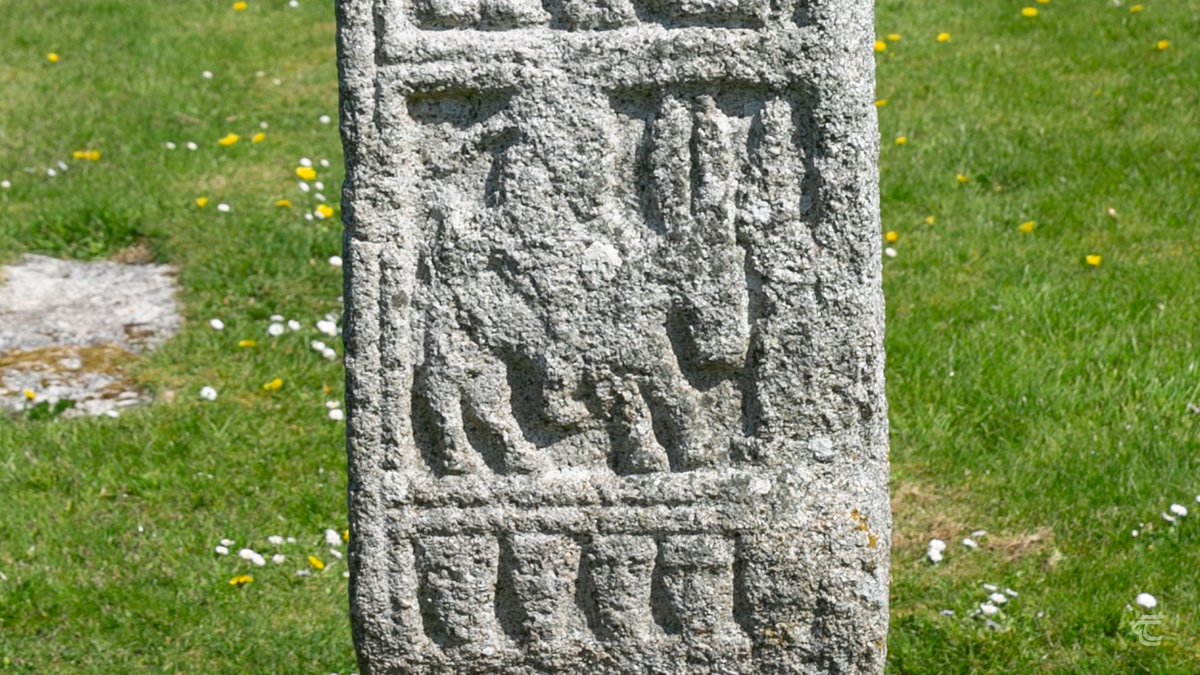 Just going through photographs from Tuesdays fieldwork in Kildare. The light was so perfect, it really showed off the carvings on the c1,000 year old high crosses.

Like this lovely little donkey at Old Kilcullen – LOOK AT HIS GIANT EARS! More than half the size of the humans! 🫏