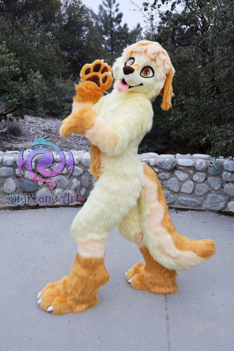 🧇Waffle the Golden Retriever🧇 #FursuitFriday