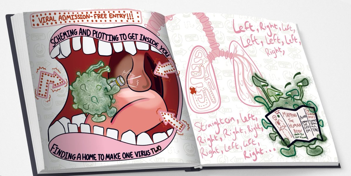 Sean_Patmore's tweet photo. @edmundmcmillen @edmundmcmillen if you want out of the box how about some scientific illustrations/ diagrams. I'll draw then label + annotate whatever is in front of me. Isaacs brain, his tear ducts, the Duke of flies and name each fly, I might even do a figure legend and propose a mechanism. https://t.co/kQmcL15319