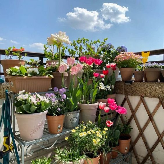 lavieestbelIe's tweet photo. Flower garden 💐🍃 https://t.co/Tsd97A5UZg