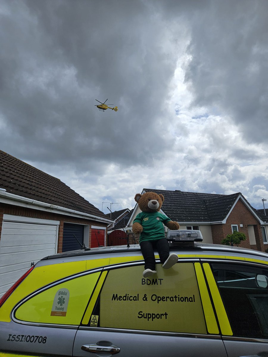 More pics of me with our local air ambulance  - I made sure they took off safe & gave them a wave when they left too! #bearswithjobs #airambulance #helimed