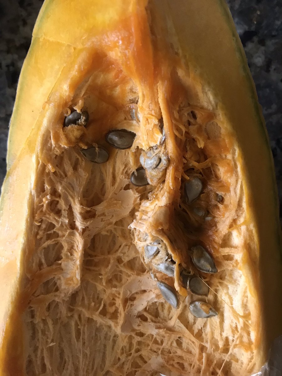 Coge las semillas de la calabaza y las pones a secar, luego las pones a tostar sin aceite y comes un puñado de ellas en ayunas durante 5 días seguidos y es otra forma de desparasitarse (apta para niños)