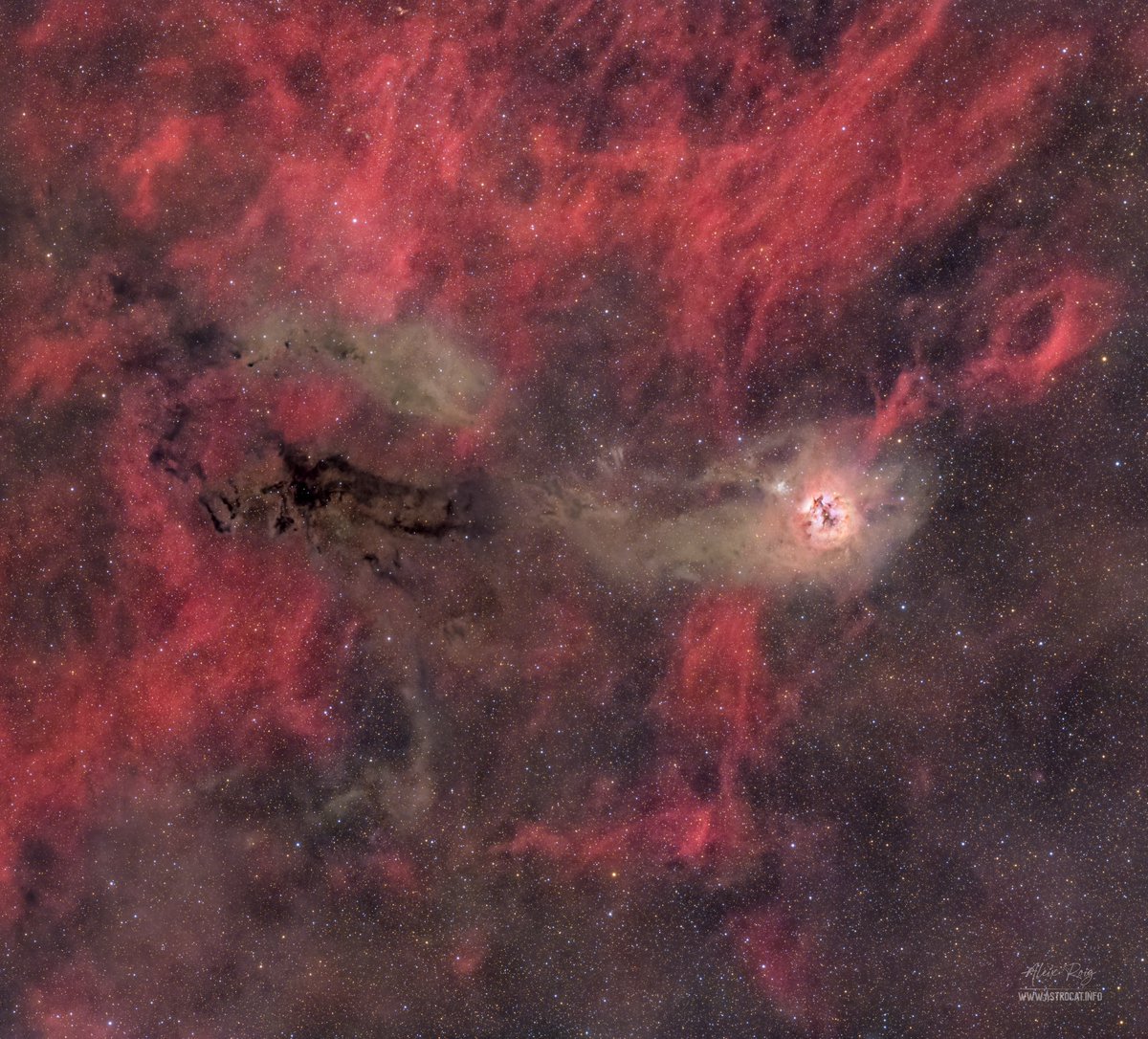 Aleix Roig tweet media