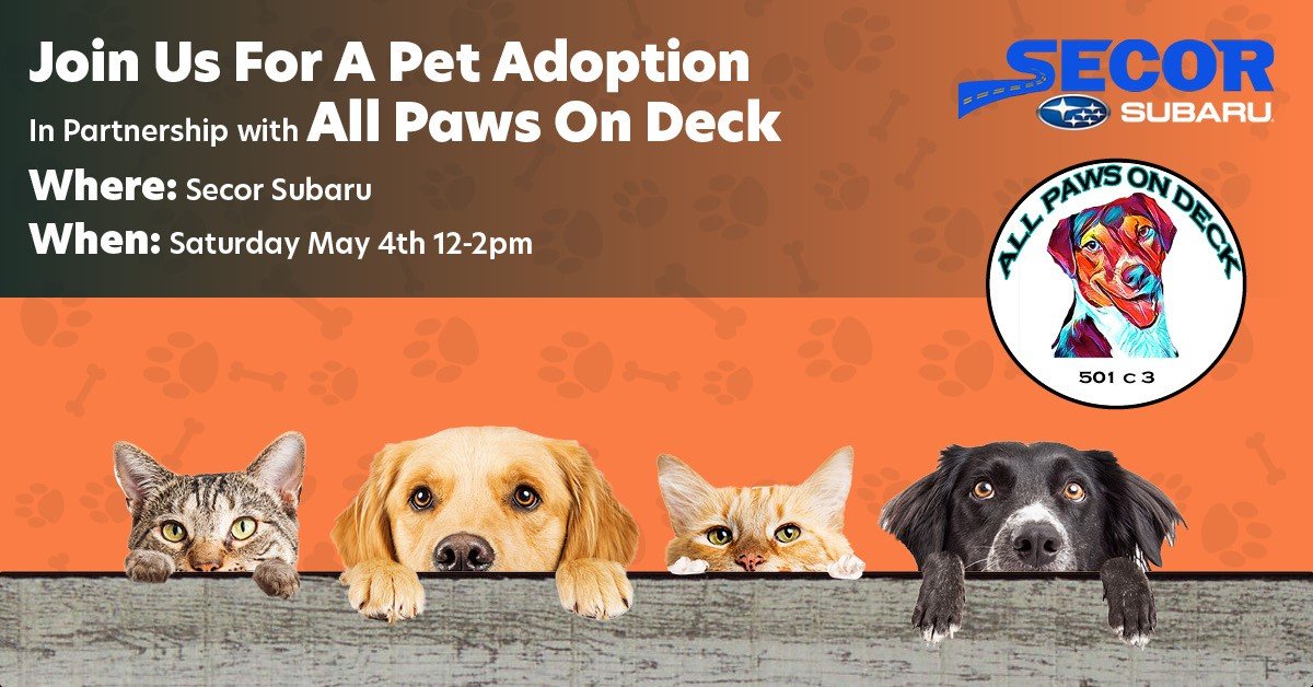 Join us at Secor Subaru for a Pet Adoption event with All Paws On Deck, Saturday, May 4th, 12-2pm! Adopt a furry friend and make a lifelong companion. 🐶🐱🐾

#Petadoption #adoptdontshop #Subarulovespets #SNELovespets #Newlondon #CT