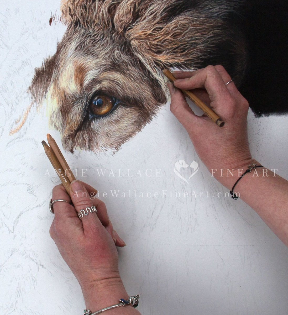 Thank you everyone who had a guess at this mornings eye picture. Well done those who guessed it's a Lion 🦁 I've been so excited to get started on this piece for so long. This will be one of my largest works. Hope you like him so far. #lion #bigcat #pastelportrait #drawing