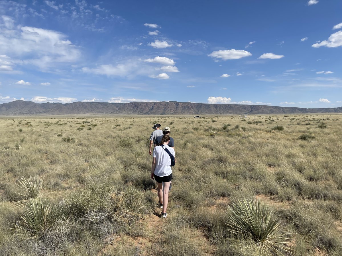 🏜️Have you ever done fieldwork in the desert? NMDC Champion Aaron Robinson has! He researches fungi in soil and plant-associated microbiomes all around New Mexico. Learn more and apply to our Champions Program: microbiomedata.org/community/cham… #FieldworkFriday #NMDC