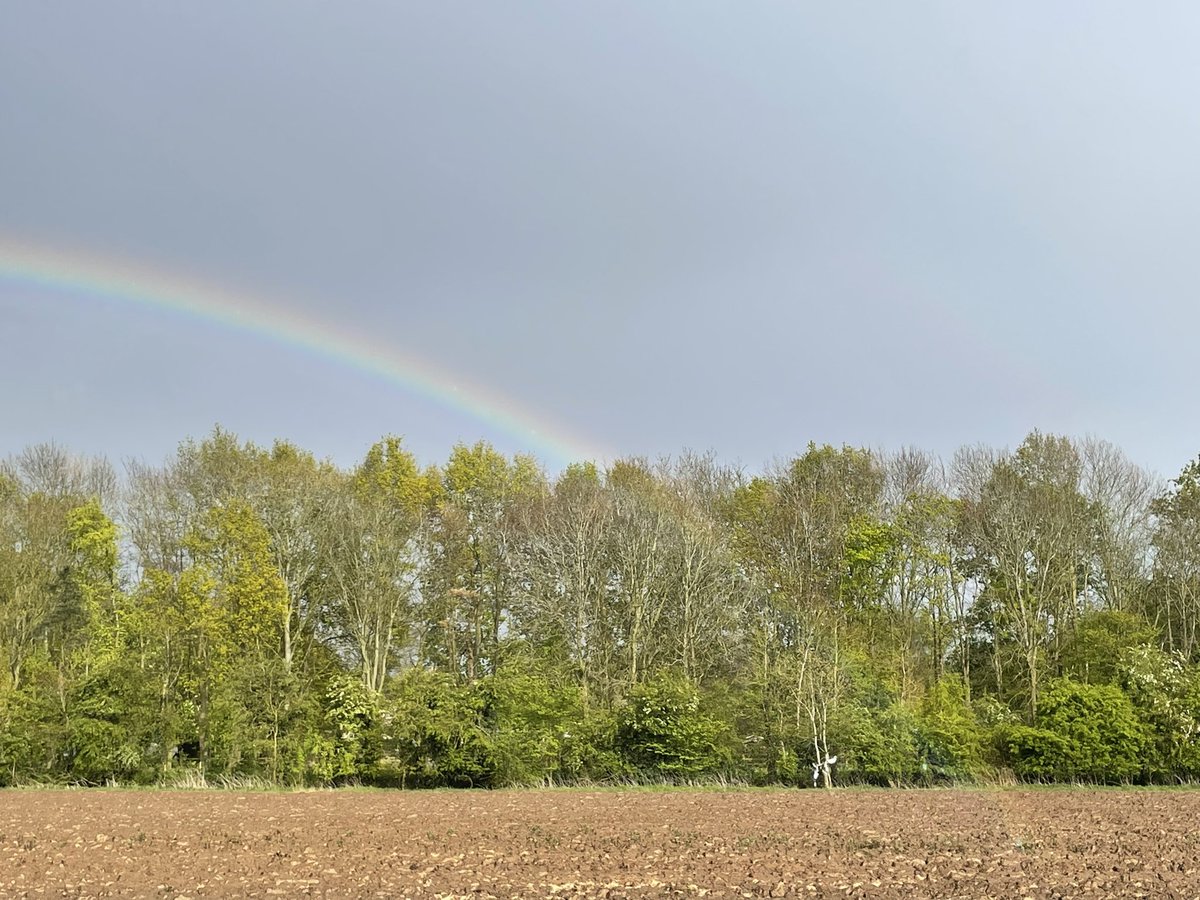 I was stood at the bottom of my garden near #kingslynn taking this in the rain because I am convinced I could see both ends of the rainbow coming down in the field. 🌈 

I couldn’t see a pot of gold though

@bbcweather #norfolk #rainbow
