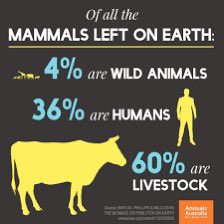 Australian legislation stipulates that a species’ habitat can only be CONSIDERED for protection if that species is endangered. A sure way to ensure that all our species become endangered. And none of our environmental NGOS see a problem with that! GROWTH is the priority.