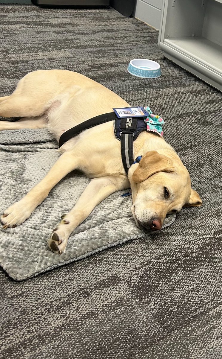 Granger from Silver Creek gives you… A “tail” of two hours… 🥰❤️ 🐾