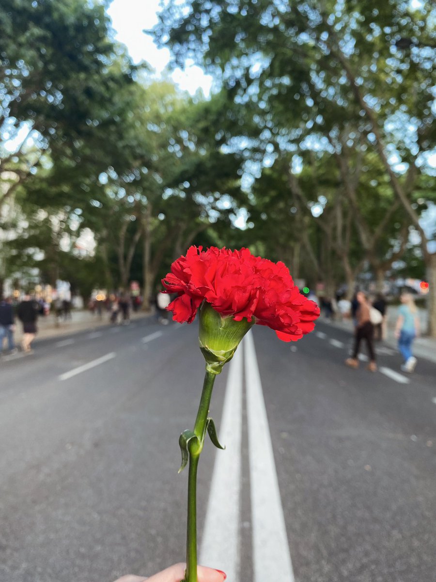 rachellopezquel's tweet photo. Desde 2020 que trabalho todos os dias no 25 de Abril. Não me importo, porque faço o que amo e exerço a liberdade de imprensa na casa da democracia. Mas desde que me lembro, que vou à Avenida. E nunca a vi como ontem. Foi tão bonita a festa ❤️ https://t.co/oQvTMMvp8O