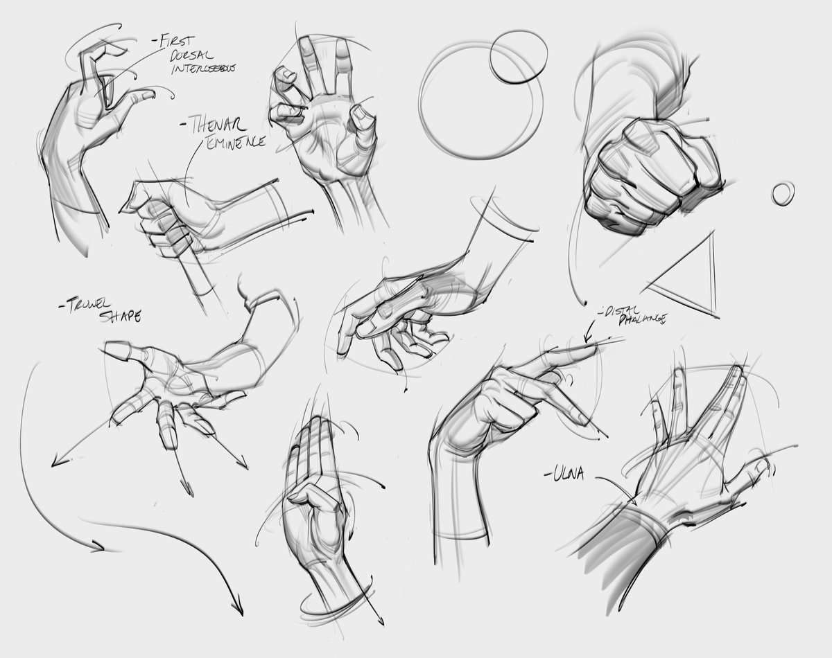 Morning hand gestures! Still working on my hand's tutorial:) #hands #drawing #figuredrawing #gottogetbetter #fingers #fist #thumb #sketching #anatomy #humananatomy #gesturedrawing #handposes #drawingtips #artinstruction #lineart #goals