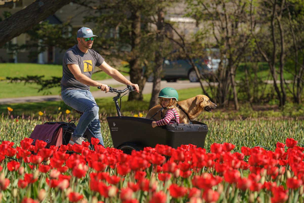 We've been told it's going to be an earlier year for #Ottawa's tulips. Be sure to get your Let's Go Cargo! bike rented sooner than later to not miss out! 🌷🚲
#MyOttawa #Tulips #CargoBikes #Ottbike