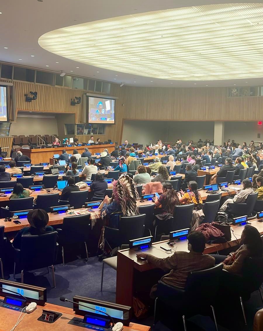 After 2 weeks the #UNPFII23 session has concluded! 🇩🇰🇬🇱 thanks all participants for important discussions on Indigenous Peoples’ rights to self-determination & indigenous youth participation. We will continue the important work for Indigenous Peoples’ rights!