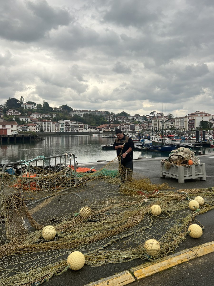 Porti scolmi di acqua, pungente odore delle cose di mare rimaste scoperte dalla marea. Striduli gabbiani che si azzuffano sulle reti a riva. Porti del nord dove mi è dolce naufragare.