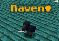 Dani_Cr0well's tweet photo. CUTENESS OVERLOADD 😭 🖤🖤🖤🖤#crow #Minecraft建築 #alexmobs https://t.co/s34r5b6oDa