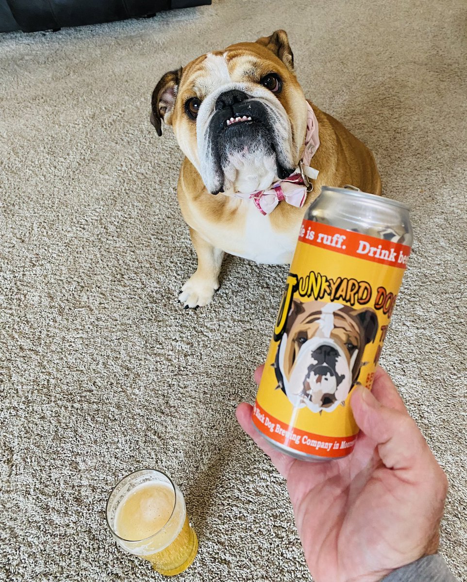 Happy #FridayIndianaBeer with @BlackDogBeers Junkyard Dog triple NEIPA, and Pebbles approved! @RobertRolfeFedd @Baileybones32 @Crobb88 @BradMitchell02 @sheryl_lynn_art @PaulDSmith16 @howarmat @joshualakins @812farms @MrNCSU44 @KohnRita @MikeSlomba