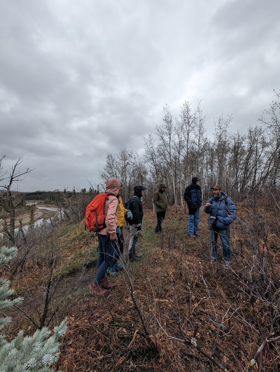 A little rain didn't stop us from making our first observations on Day 1 of the #CityNatureChallenge!
Get out there #YYC!