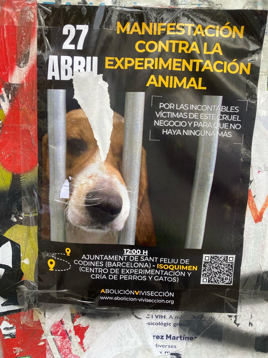 #NoEsCiencia #AboliciónVivisección #WDAIL #WDAIL24 #LiberaciónAnimal #AnimalLiberation #VivisectionAbolition