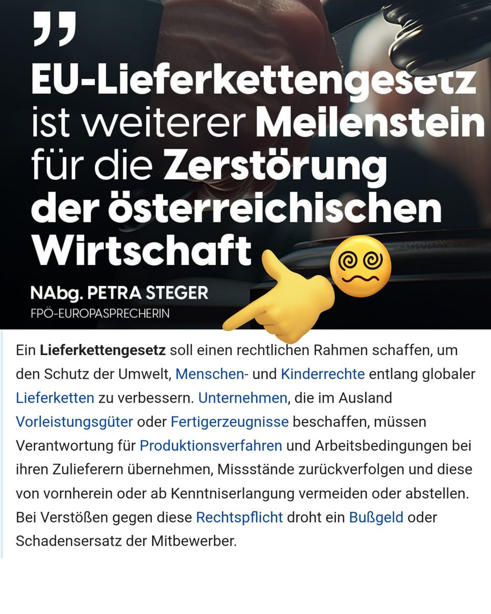 Die FPÖ ist GEGEN das Lieferkettengesetz.