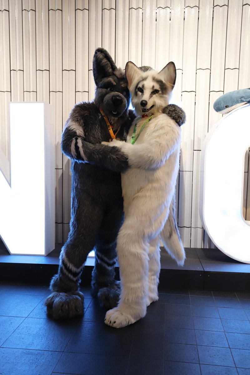 Happy #FursuitFriday #NFC2024 
with <a href="/Kitavos_DE/">Kitavos 🇩🇪 🔜 BFD 🇩🇪</a> 

📸 by <a href="/burutatsu/">Burutatsu 🇩🇪🇬🇧 🔜BFD, C.A.M.P, EF</a>