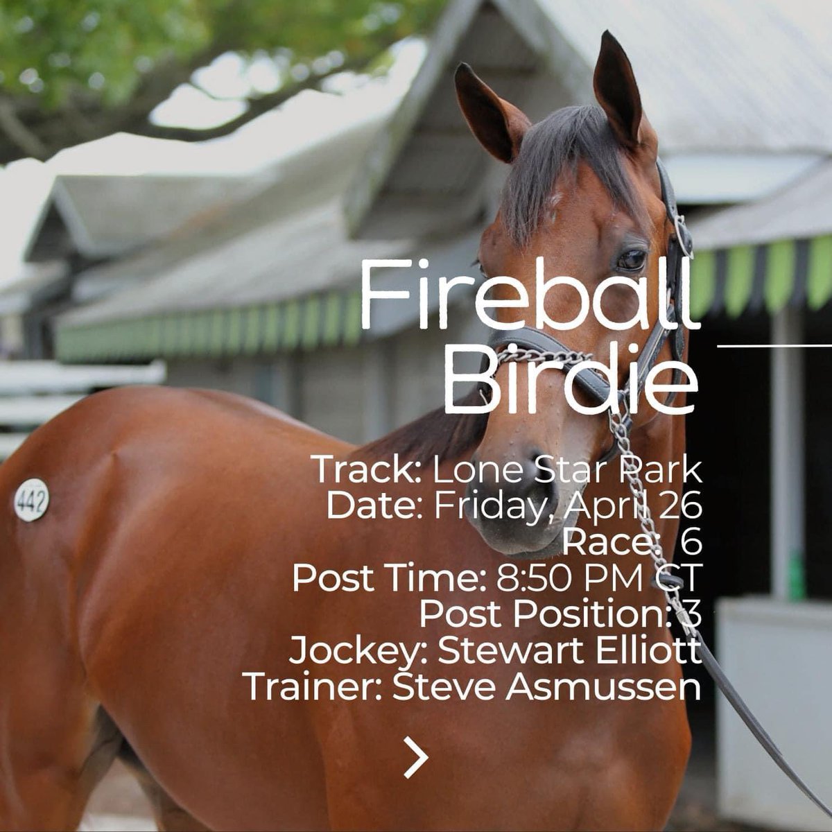 Big race day as 2 of our boys look to break their maiden!!! LEGITIFY and FIREBALL BIRDIE!!!! Can’t wait to go to Lone Star Park tonight!! Giddy up!!! @MyRacehorse @santaanitapark @lonestarpark