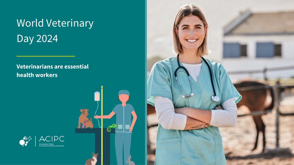 It's World Veterinary Day, an occasion to recognise the invaluable contributions of vets. ACIPC is offering a Veterinary Foundations of IPC course. To find out more, visit: acipc.org.au/education/vete… @WorldVetAssoc #WVD2024 #worldvetday #worldveterinaryday #ACIPC #IPC