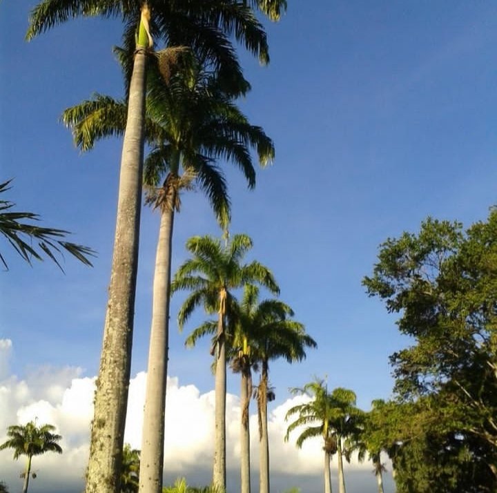 Cae la tarde, les deseamos a todos que disfruten de un relajante fin de semana