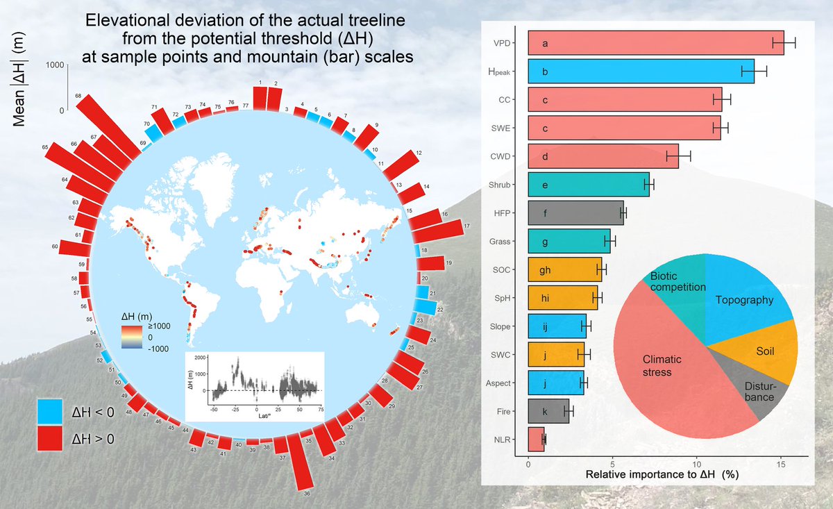 NEW RESEARCH Uppermost global tree elevations are primarily limited by low temperature or insufficient moisture 📄 onlinelibrary.wiley.com/doi/abs/10.111…