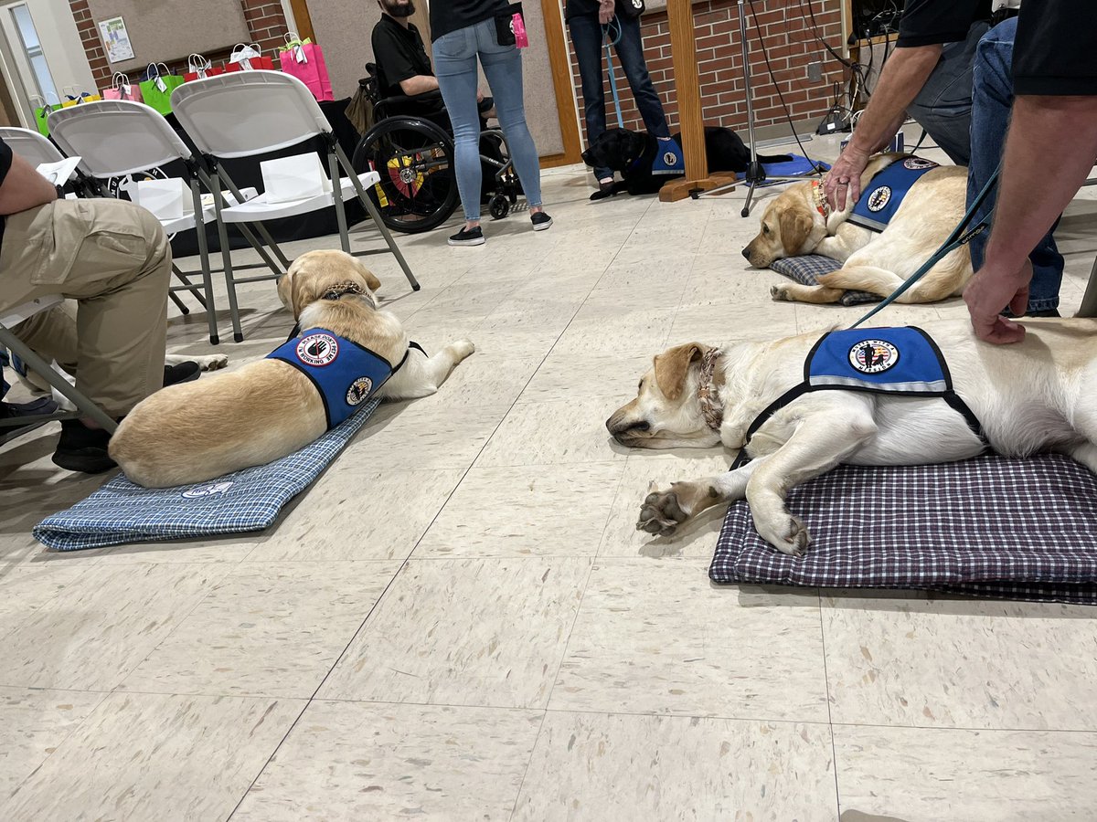 It’s graduation day for <a href="/HudsonODU/">Hudson ODU</a> and his classmates. These good boys and girls are chilling on their big day.