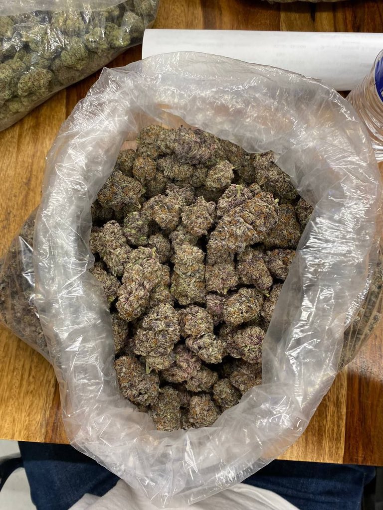 Can you guess how much is in the bag? 👀

#StonerFam #Mmemberville