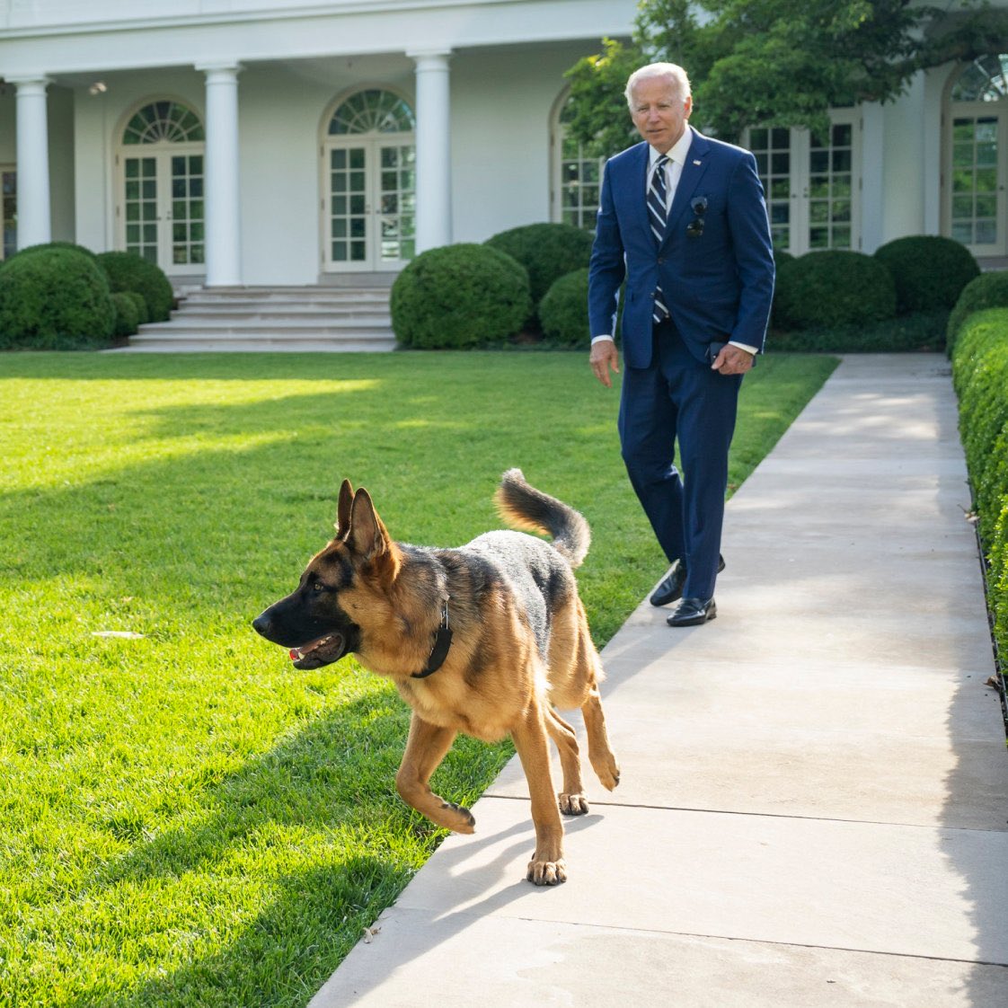 Unlike some on the MAGA side, President Biden actually loves dogs and has some of his own.