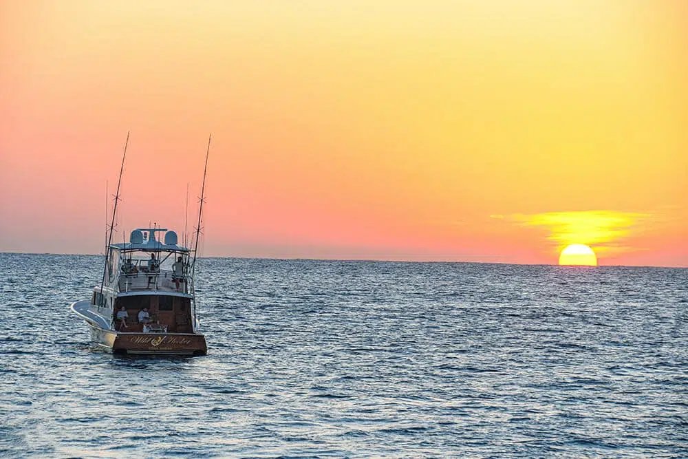 Is there anything better than watching that sun dip down into the water? #saturday #sunset

We think NOT! Get out there and watch your sunset and SHOW US by posting a pic below!

📸 HAWAII’S WILD HOOKER FISHING CREW: hookandbarrel.com/wild-hooker-fi…