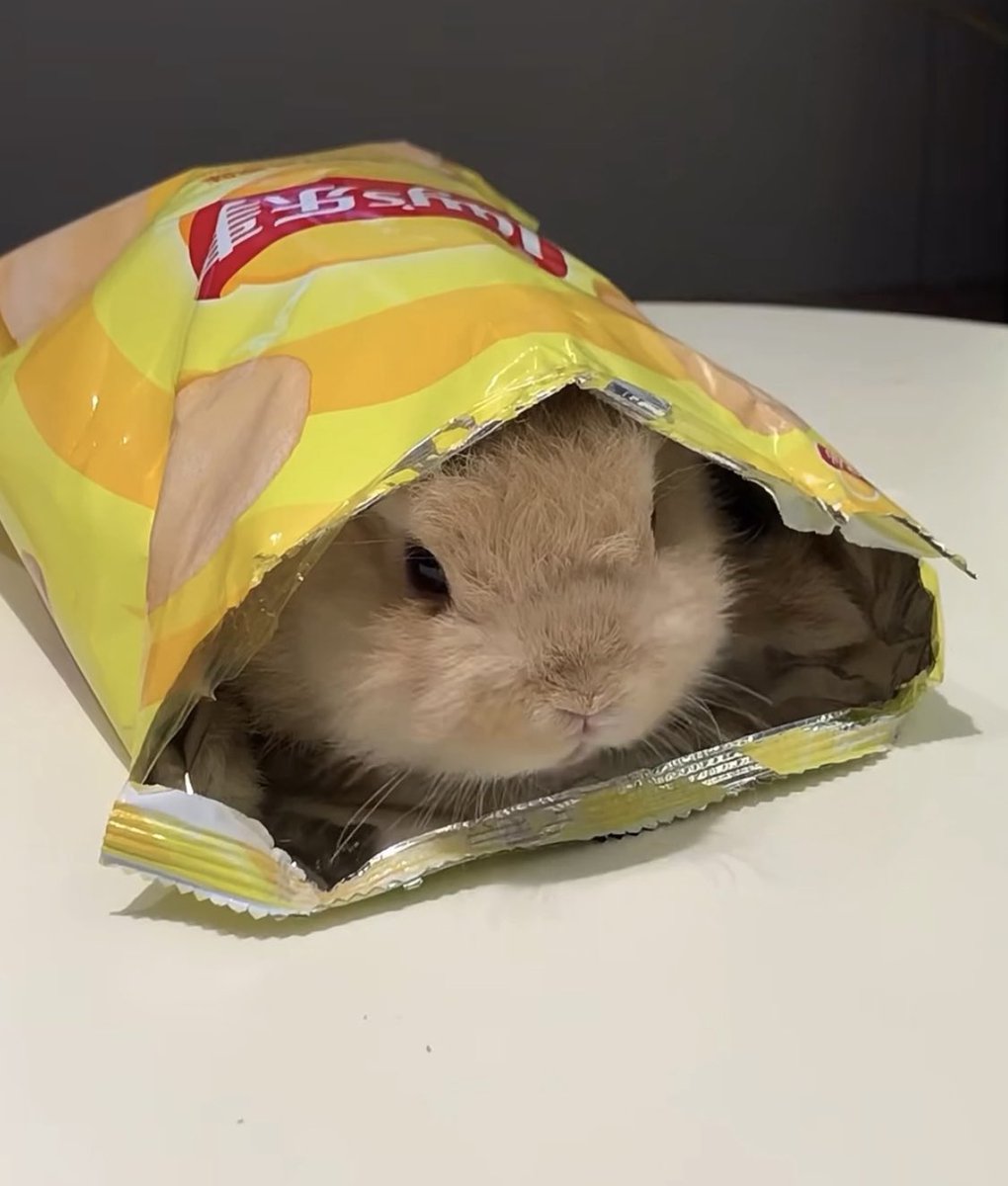 bunny chips