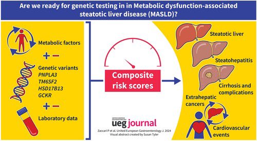 🆕Review Article 📊MASLD is on the rise 🧬Genetic variants help stratify risk ✔️Genetic-based tools diagnose and predict MASLD outcomes ✴️Current tools lack optimal accuracy 🤖AI could enhance decision-making algorithms in MASLD treatment doi.org/10.1002/ueg2.1…