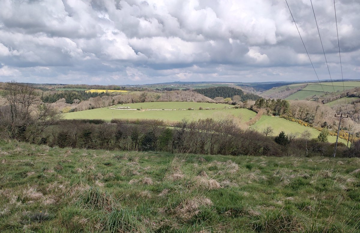 Early medieval linear earthwork known as the Giant's Hedge that extends 15km linking estuaries around Looe and Lerryn near Fowey. Looked like hill fort at Kilminorth overlooking the West Looe Valley in Cornwall