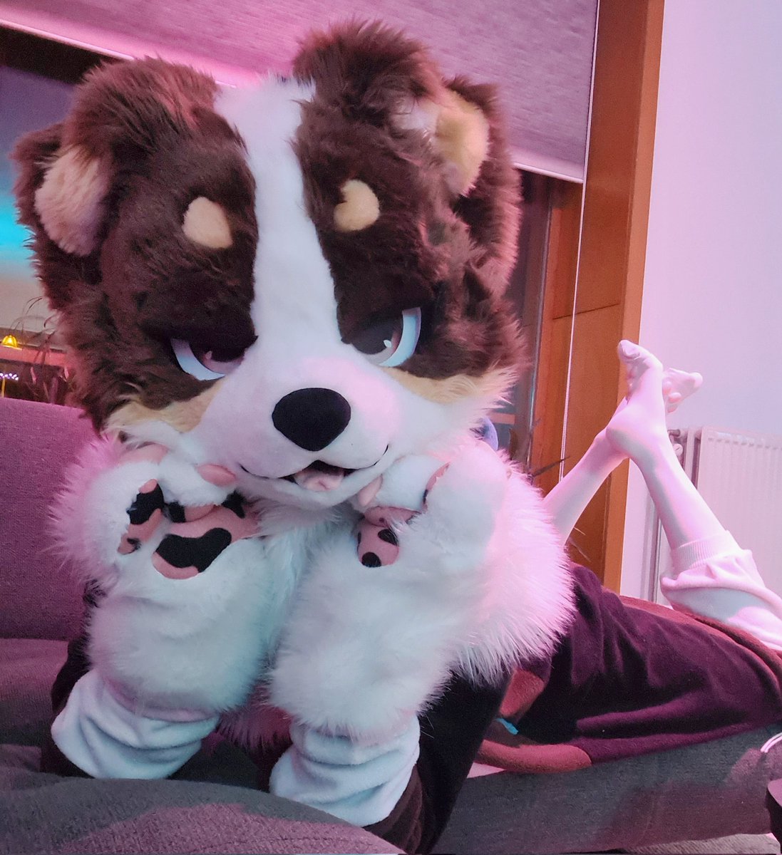 Let's spend the night on the couch this #FursuitFriday