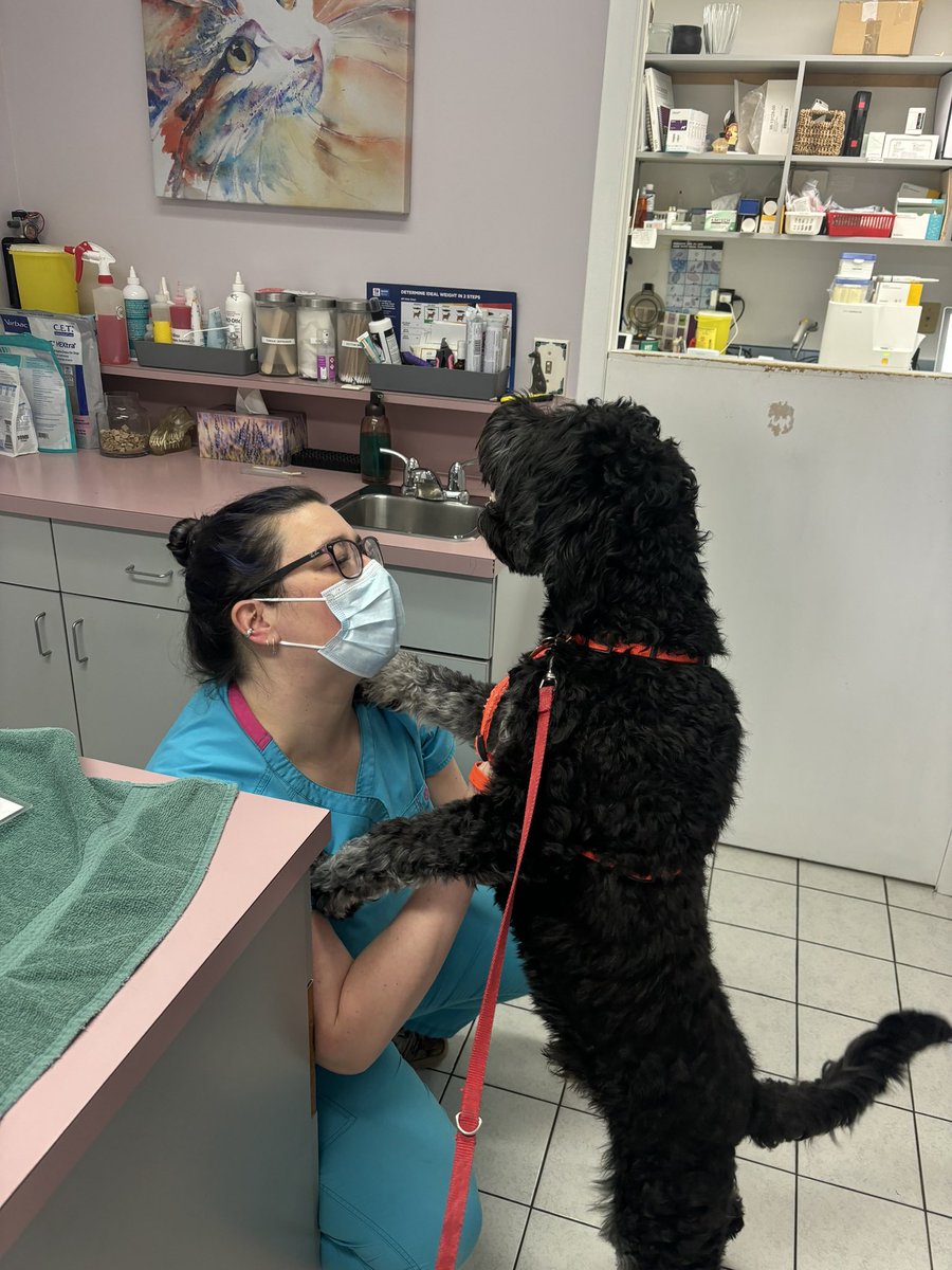 Super thankful for an amazing vet/clinic where everyone masks up! Griffin loves his vet visits! #masksbackinhealthcare #COVIDIsAirborne #CovidIsNotOver