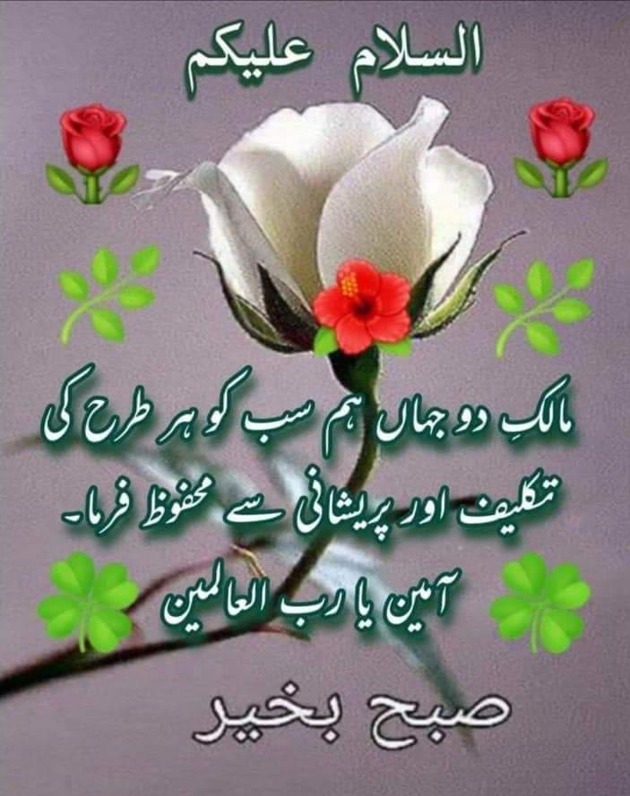 🌹🌺🌹🌺To all 🌹🌺🌹🌺