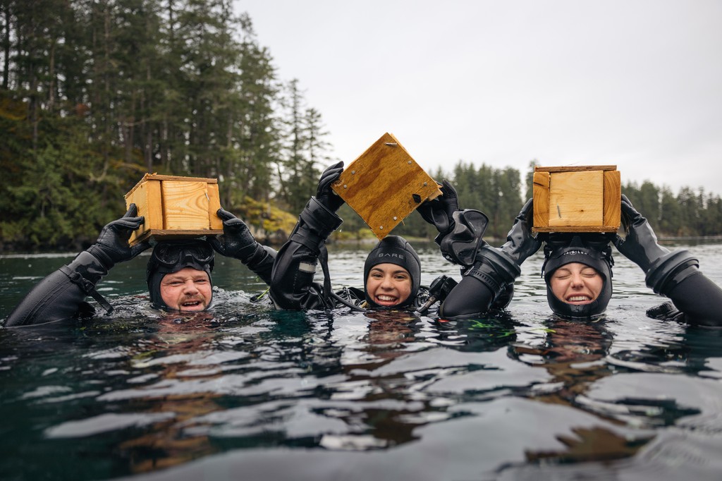 Carpentry takes on a whole new challenge underwater! The next chance to hone your skills starts with our Occupational SCUBA course starting this August! Email info@divesafe.com for the details #canadadiving #scuba #coldwaterdiving