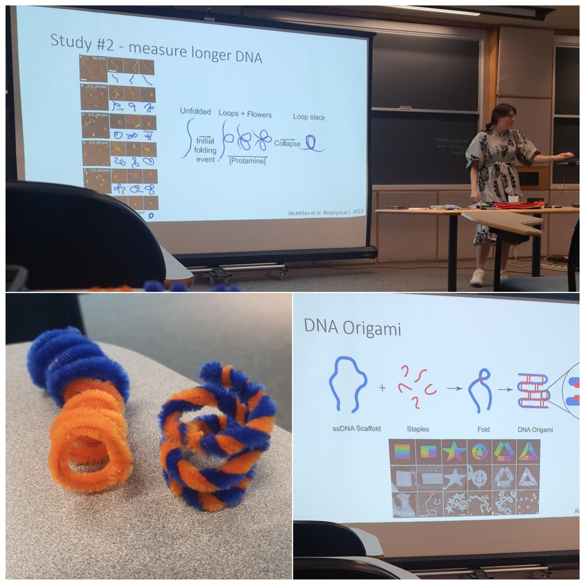 For today's @UMassPSE Seminar, hosted by Prof. Crosby, we had a fun and fascinating talk by Prof. Ashley Carter from Amherst College, teaching us about the physics of DNA folding! 🧬🪢#physics #teamsmileyface #teammonalisa