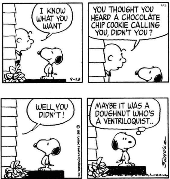 snoopy comic of the day