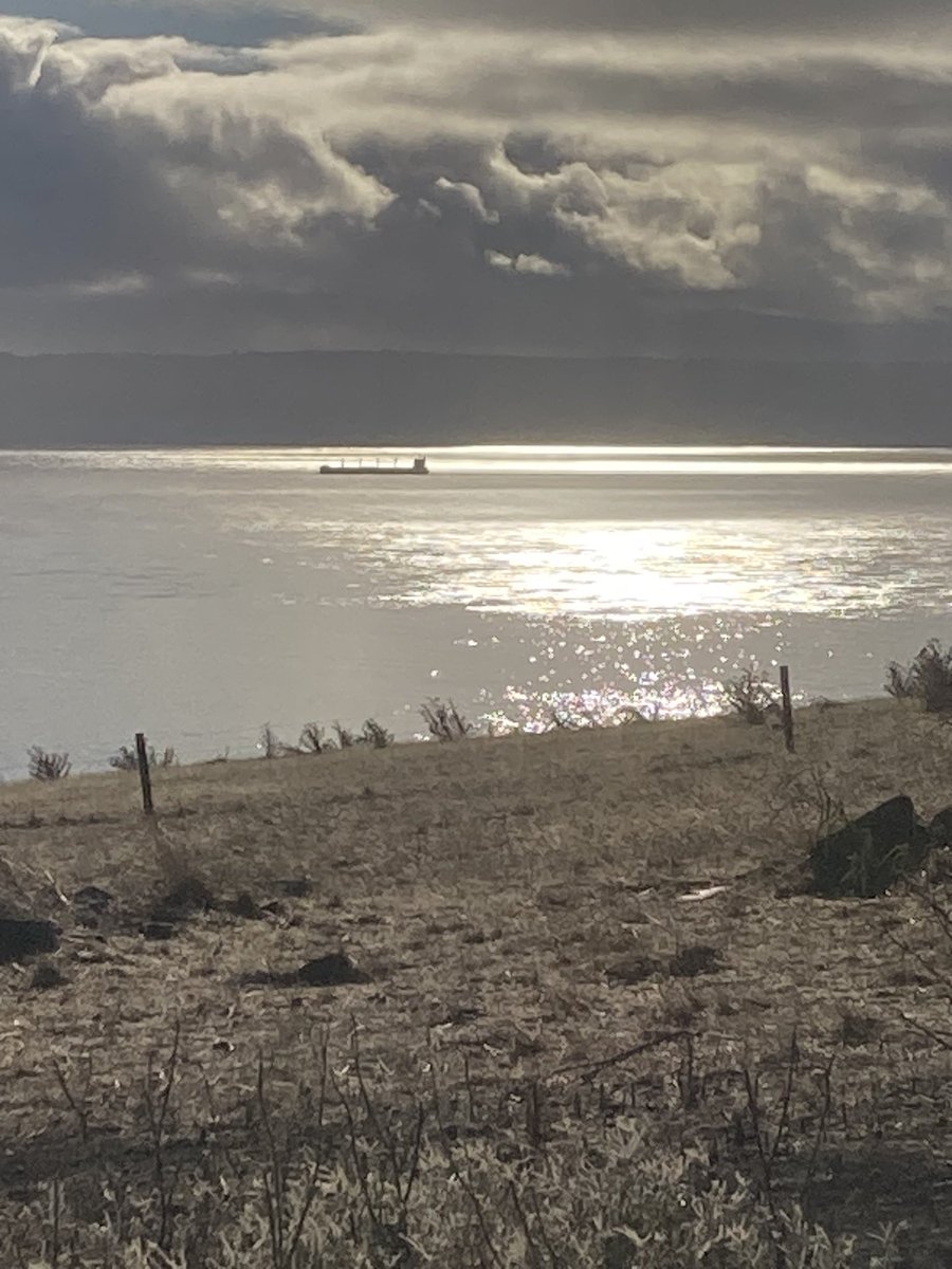 Good morning from Kangaroo Island, Cargo ship cruising by between the Island and the mainland