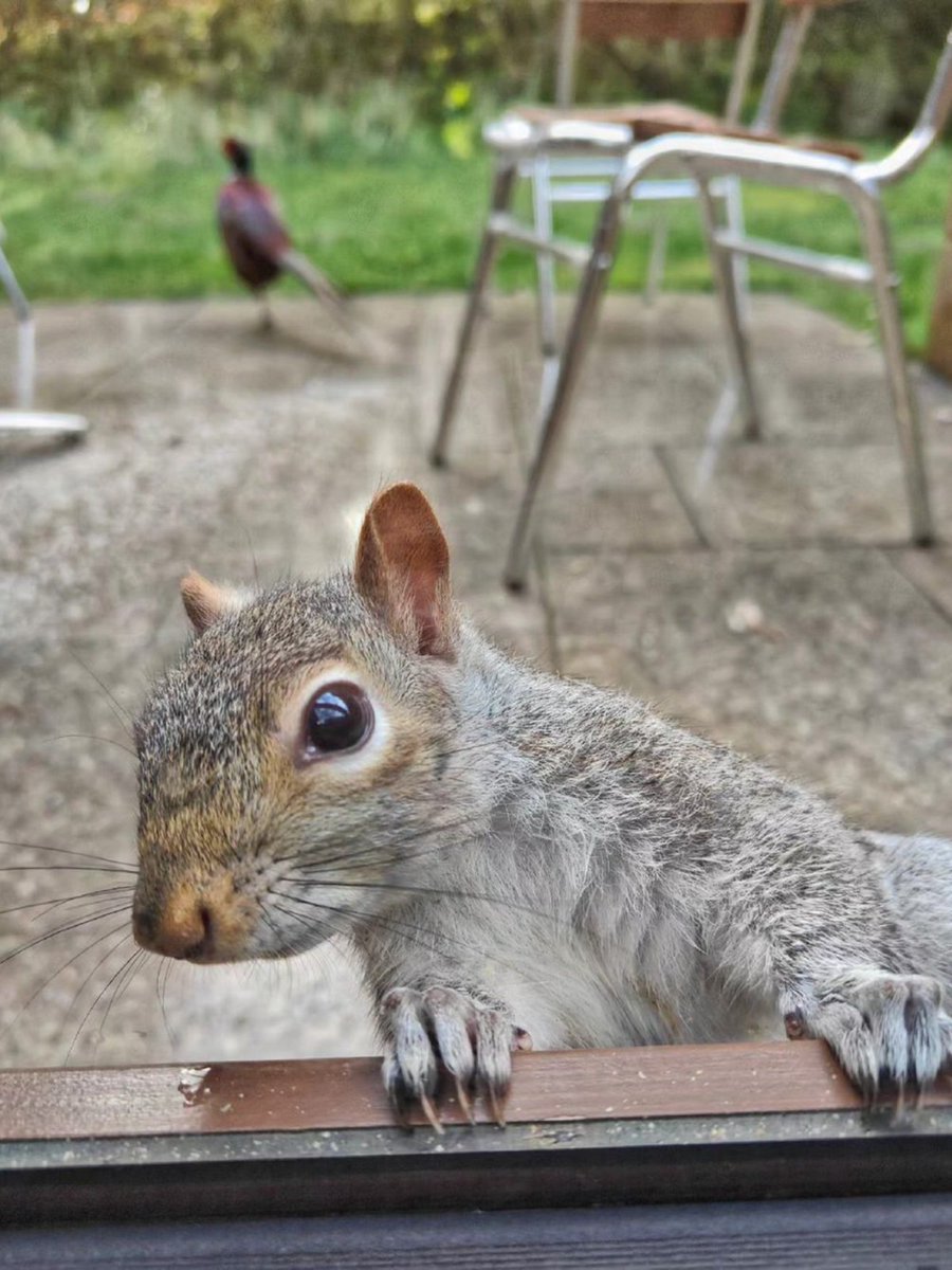 Hello there 👋 📸 @ cathyvee25_photography