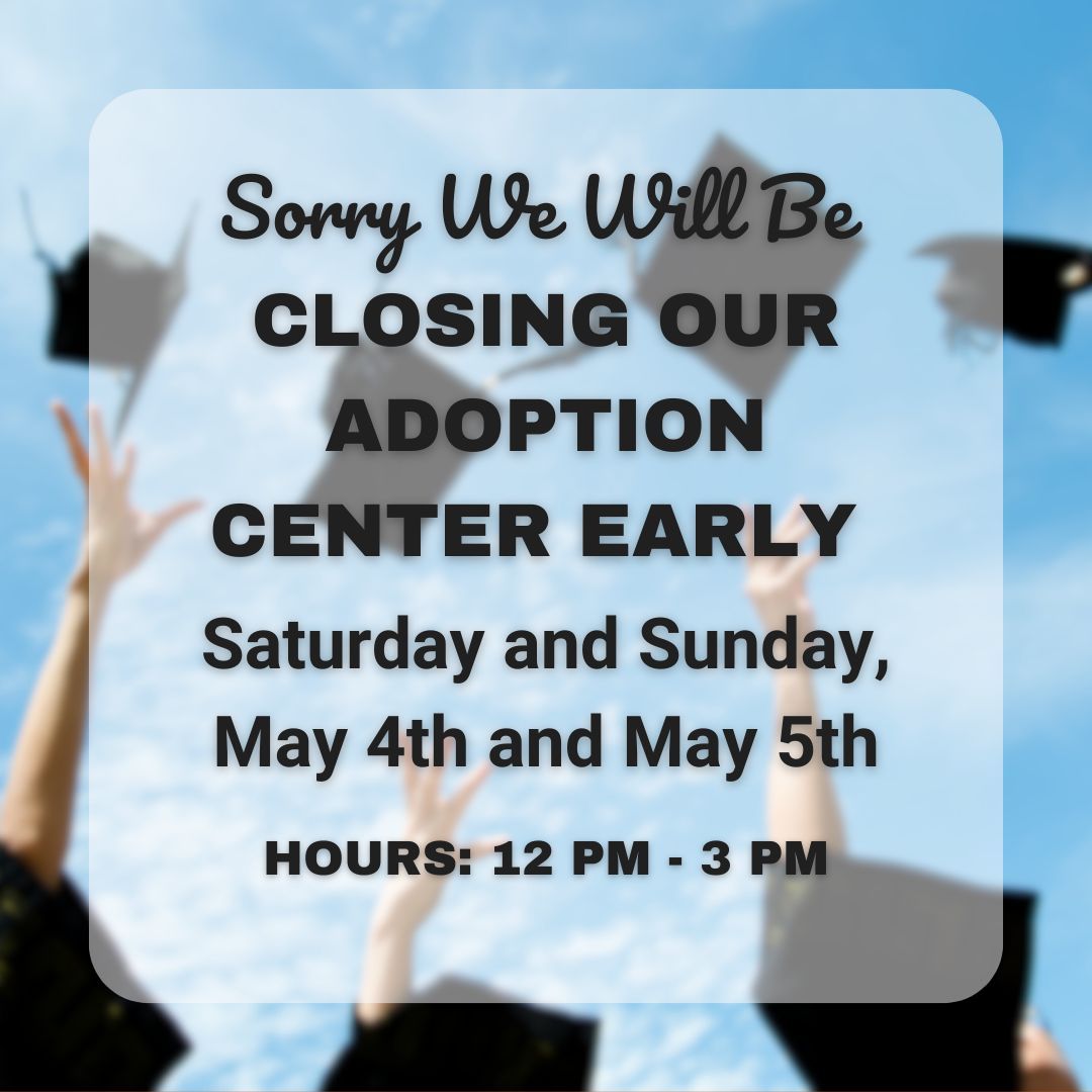 We'll be closing our adoption center early next weekend, May 4th and 5th, due to Auburn University's graduation festivities! Our hours will be from 12 pm to 3 pm CST. If you're planning to visit, make sure to stop by during our adjusted hours. Thank you for your understanding!