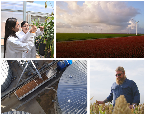 The Plant Phenome Journal (@plantphenomej) on Twitter photo Exciting news🥳🙏 <a href="/TexasTech/">Texas Tech University</a> in Lubbock, Texas will host the third Global Sorghum Conference from September 14-18, 2026.
Save the date and join for cutting-edge discussions on this SMART crop! #Phenomics #Genomics #ClimateSmart depts.ttu.edu/research/sorgh… Exciting news🥳🙏 <a href="/TexasTech/">Texas Tech University</a> in Lubbock, Texas will host the third Global Sorghum Conference from September 14-18, 2026.
Save the date and join for cutting-edge discussions on this SMART crop! #Phenomics #Genomics #ClimateSmart depts.ttu.edu/research/sorgh…