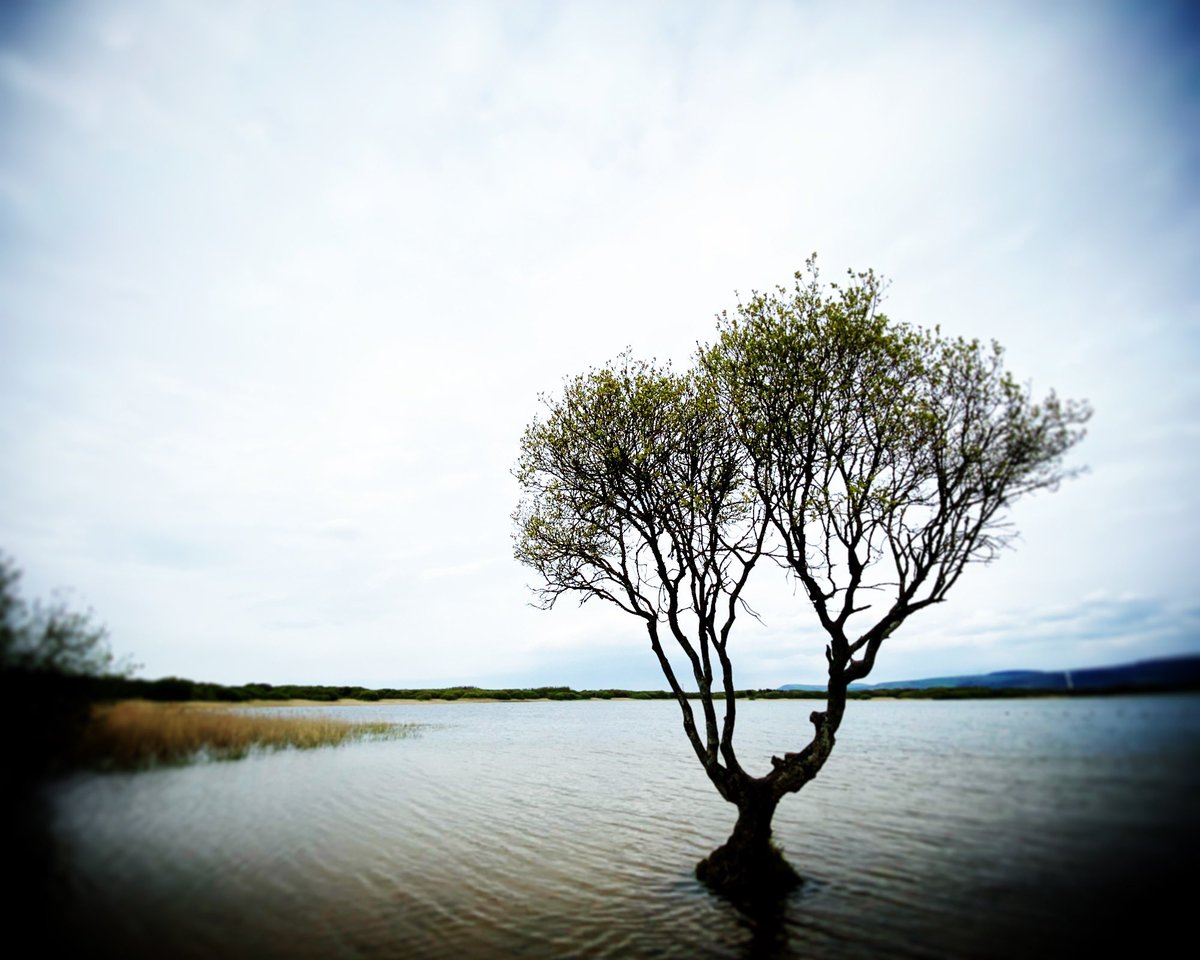 Lovely and tranquil down at Kenfig Dunes today. 
#kenfig #visitwales #bridgend #visitbridgend 
@_visitbridgend