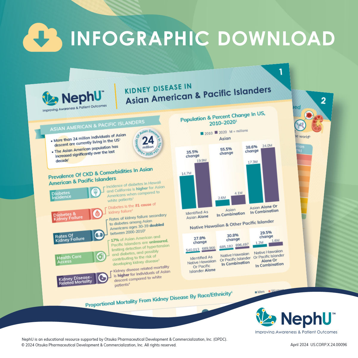 Did you know the highest prevalence of IgAN is seen in individuals of East Asian descent? Learn more from our infographic, “Kidney Disease In Asian American & Pacific Islanders.” Download now! go.nephu.org/MCqg #IgAN #kidneyhealth #asianamericankidneyhealth #NephU #CKD